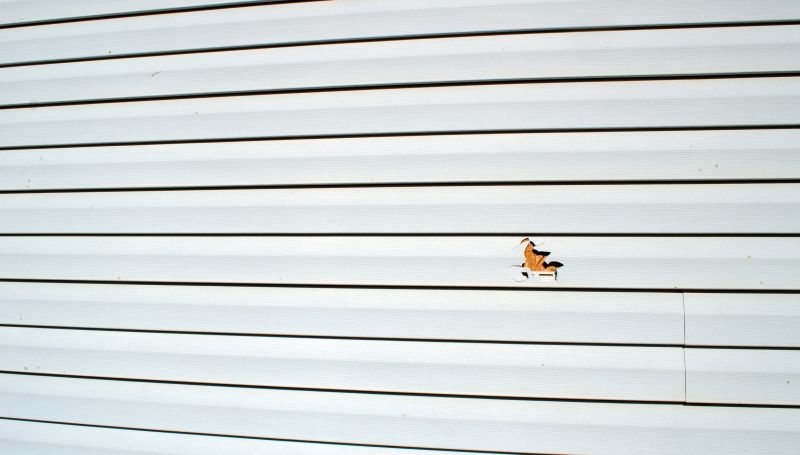 Siding Repair Project